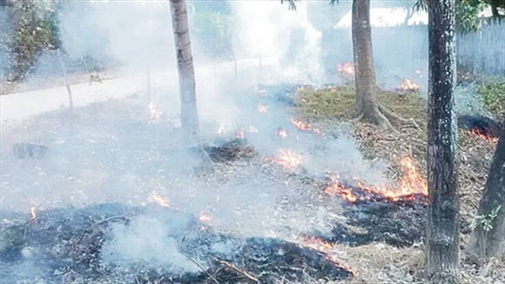 Santa Marta lanza SOS por la Ciénaga Grande