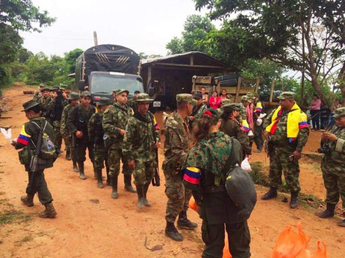Combates en zona rural de Jamundí entre ejército y el EPL