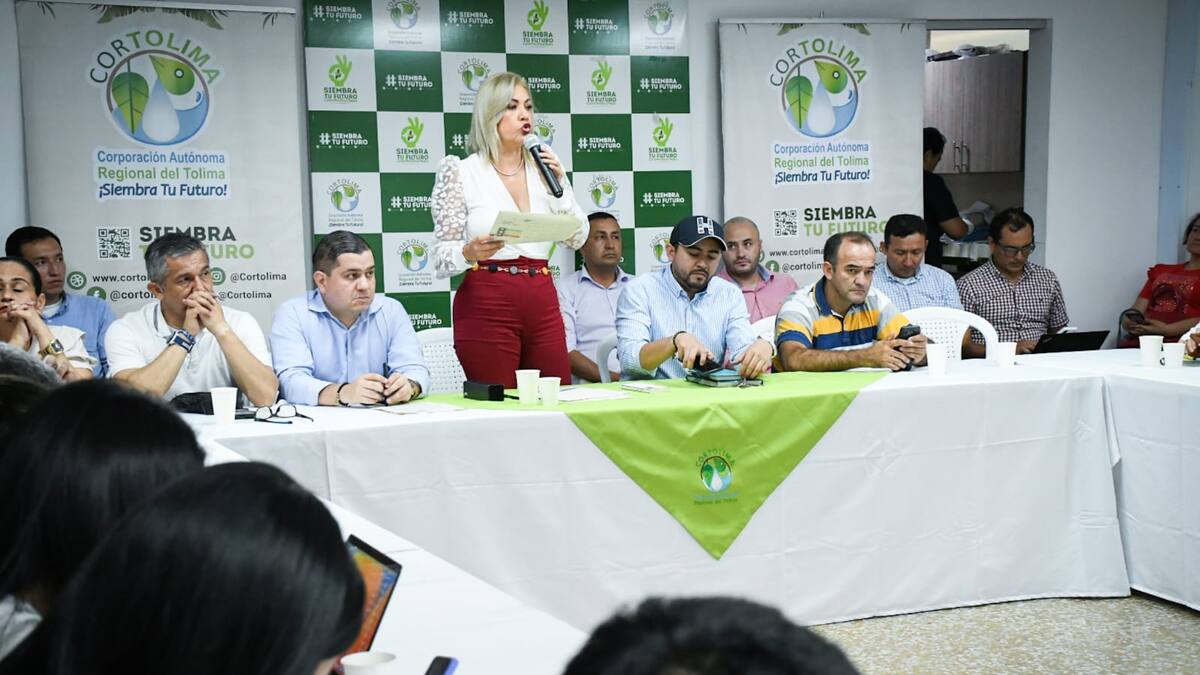 Cortolima anunció alivios tributarios en materia ambiental