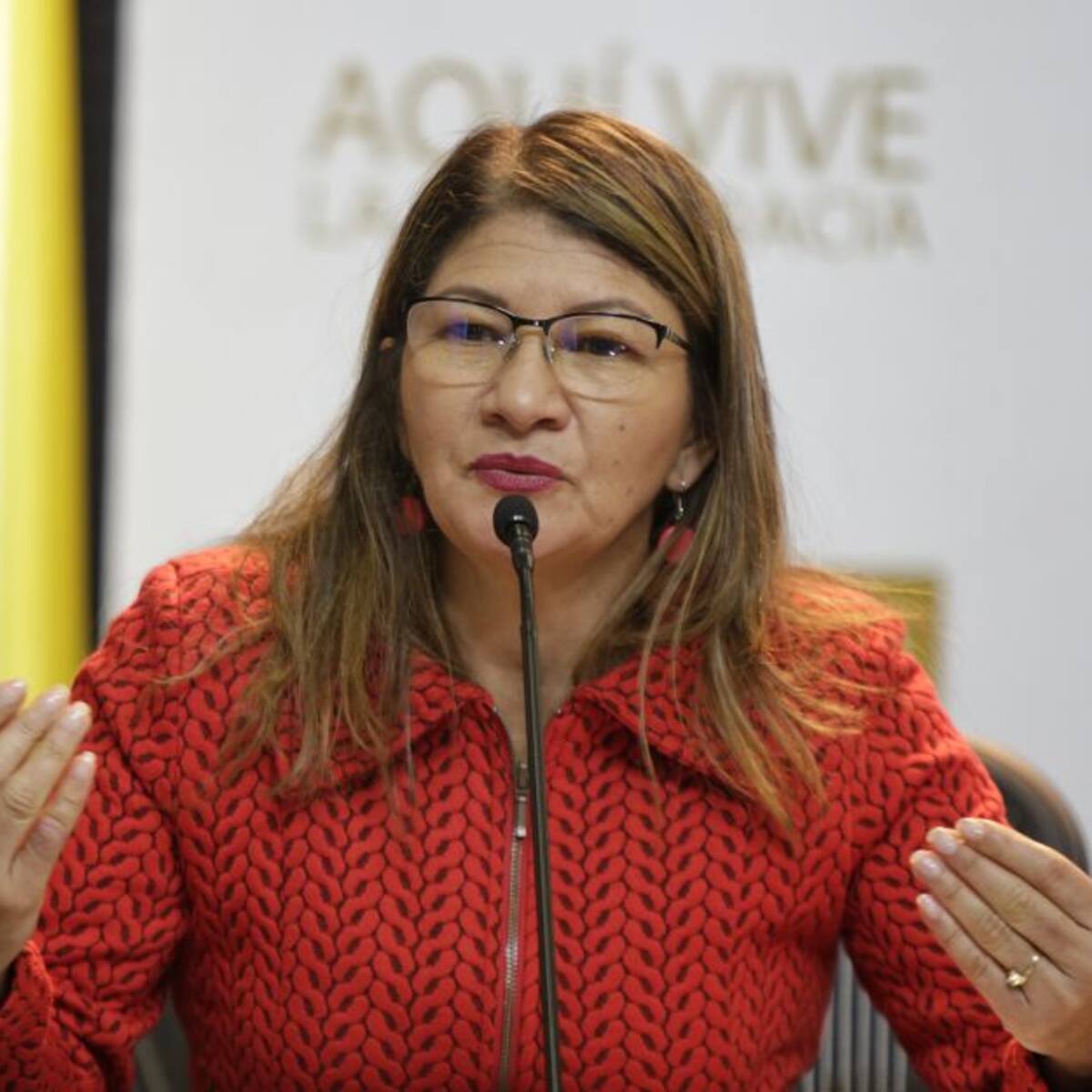 Corte abre investigación previa contra senadora Sandra Ramírez, exintegrante de las FARC