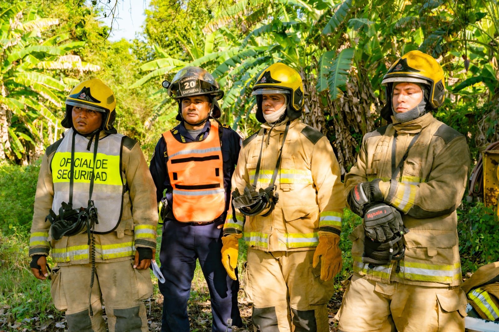 Alcaldía de Cartagena
