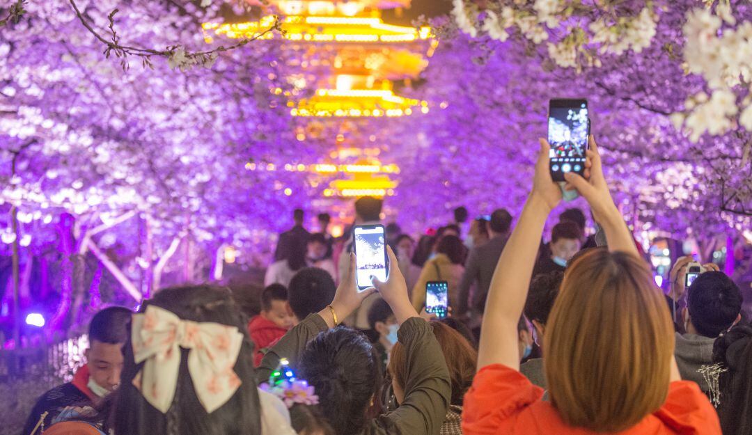 Turismo en China frente a los árboles florecidos