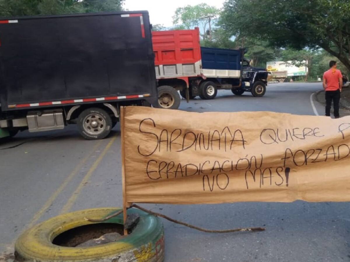 Raspachines protestan por erradicación de cultivos ilícitos