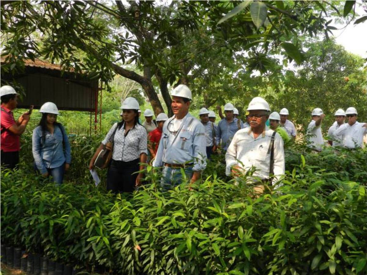 Drummond expone Plan de Manejo Socio-Ambiental a comunidades vecinas