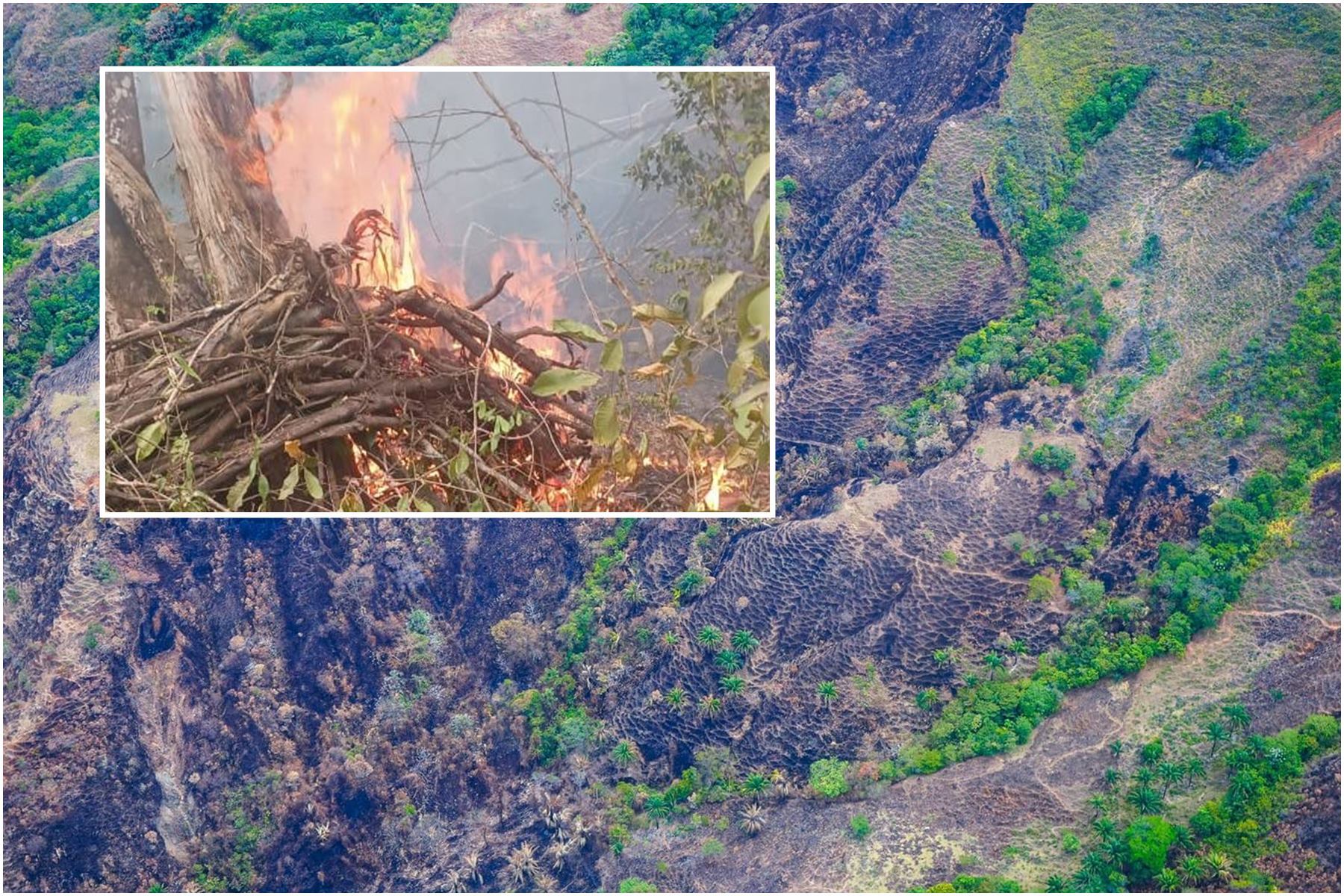 Incendios forestales en el Tolima