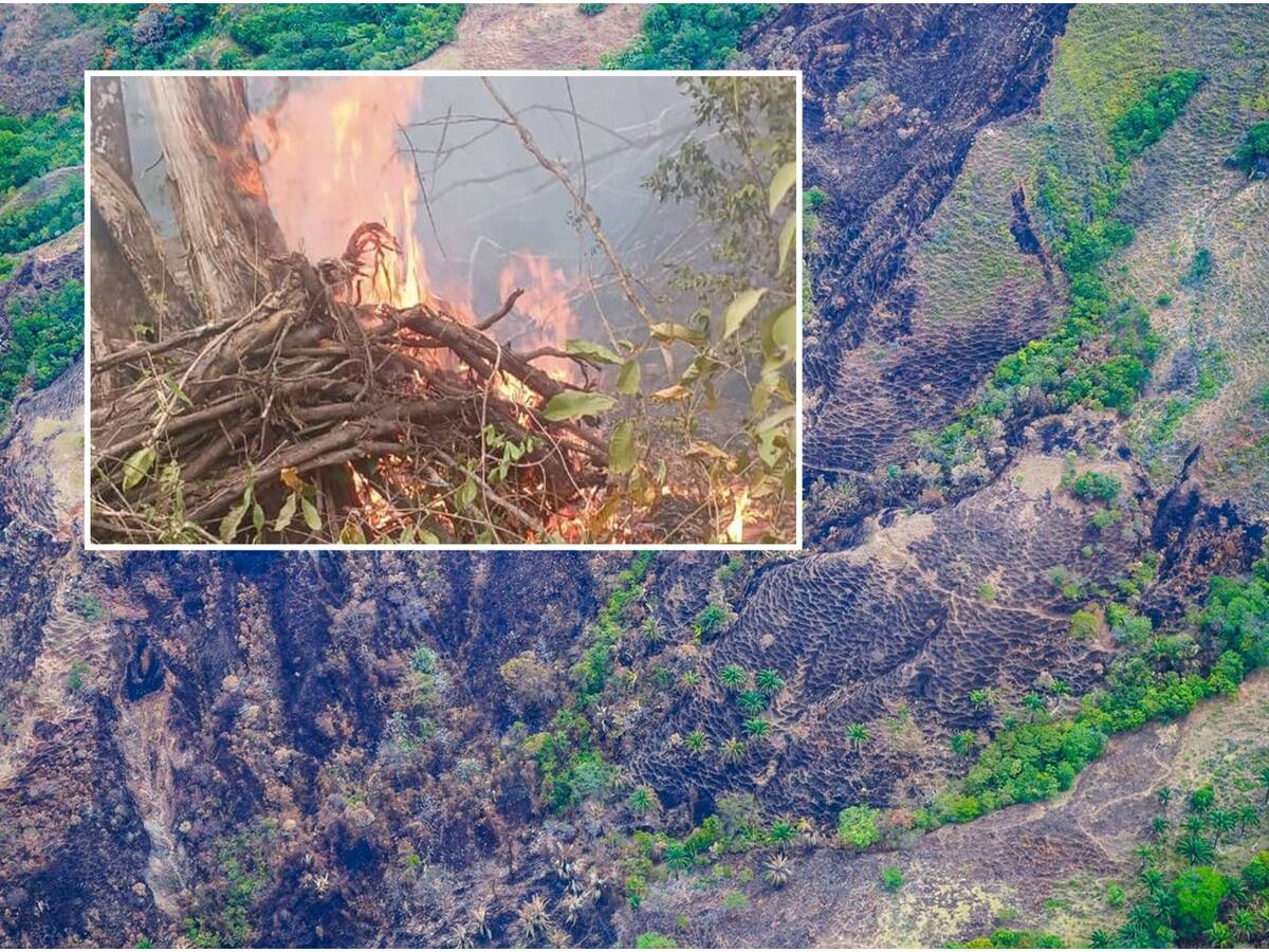 Ofrecen $10 millones de recompensa por responsables de incendios forestales en el Tolima