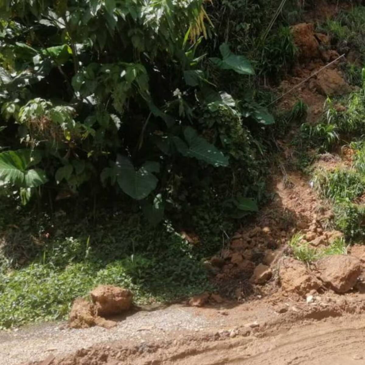 Habitantes de Bocacanoa, Dosquebradas, temen por riesgo de emergencia