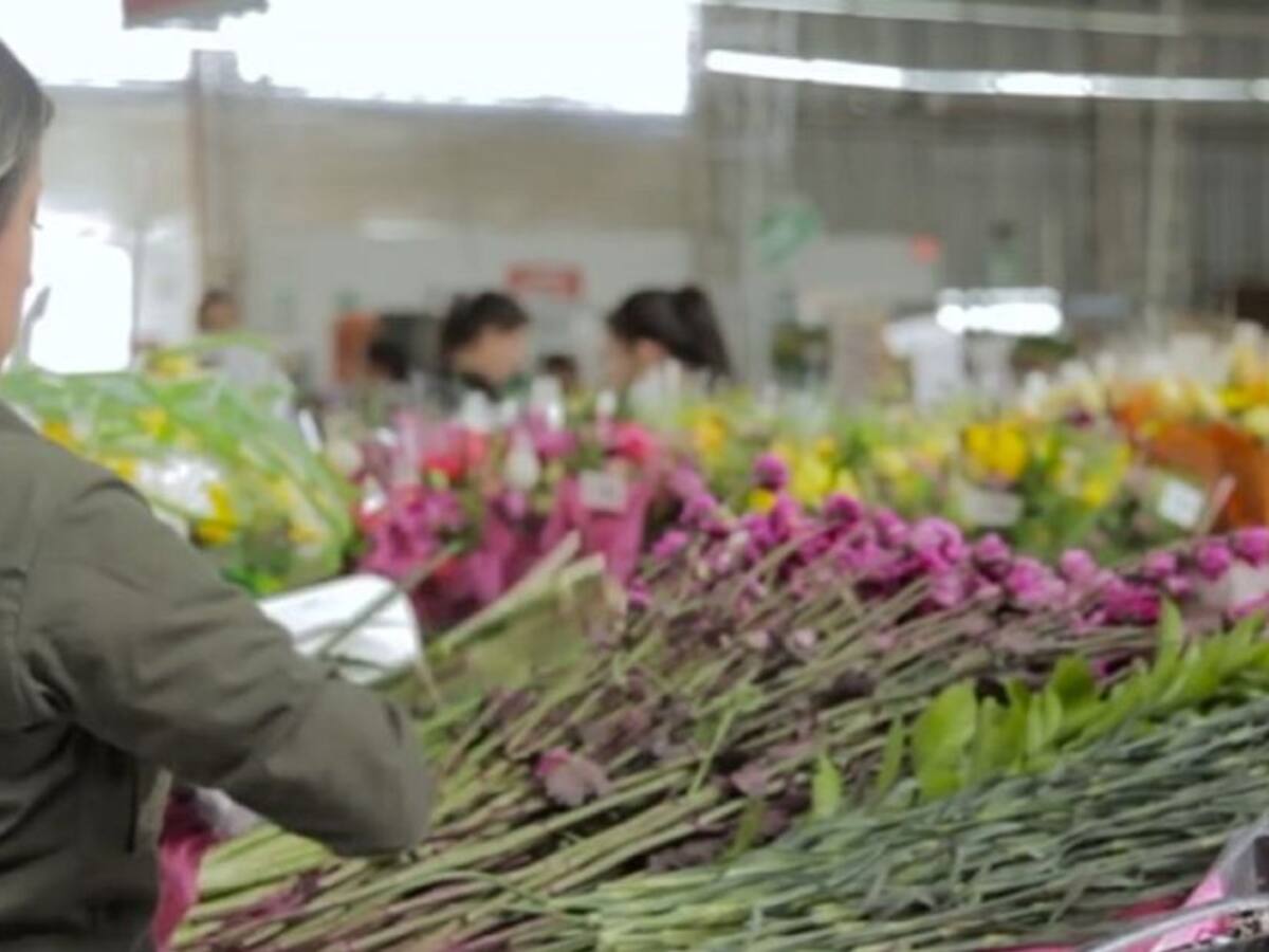 6600 vacunas serán aplicadas a los colaboradores del sector floricultor