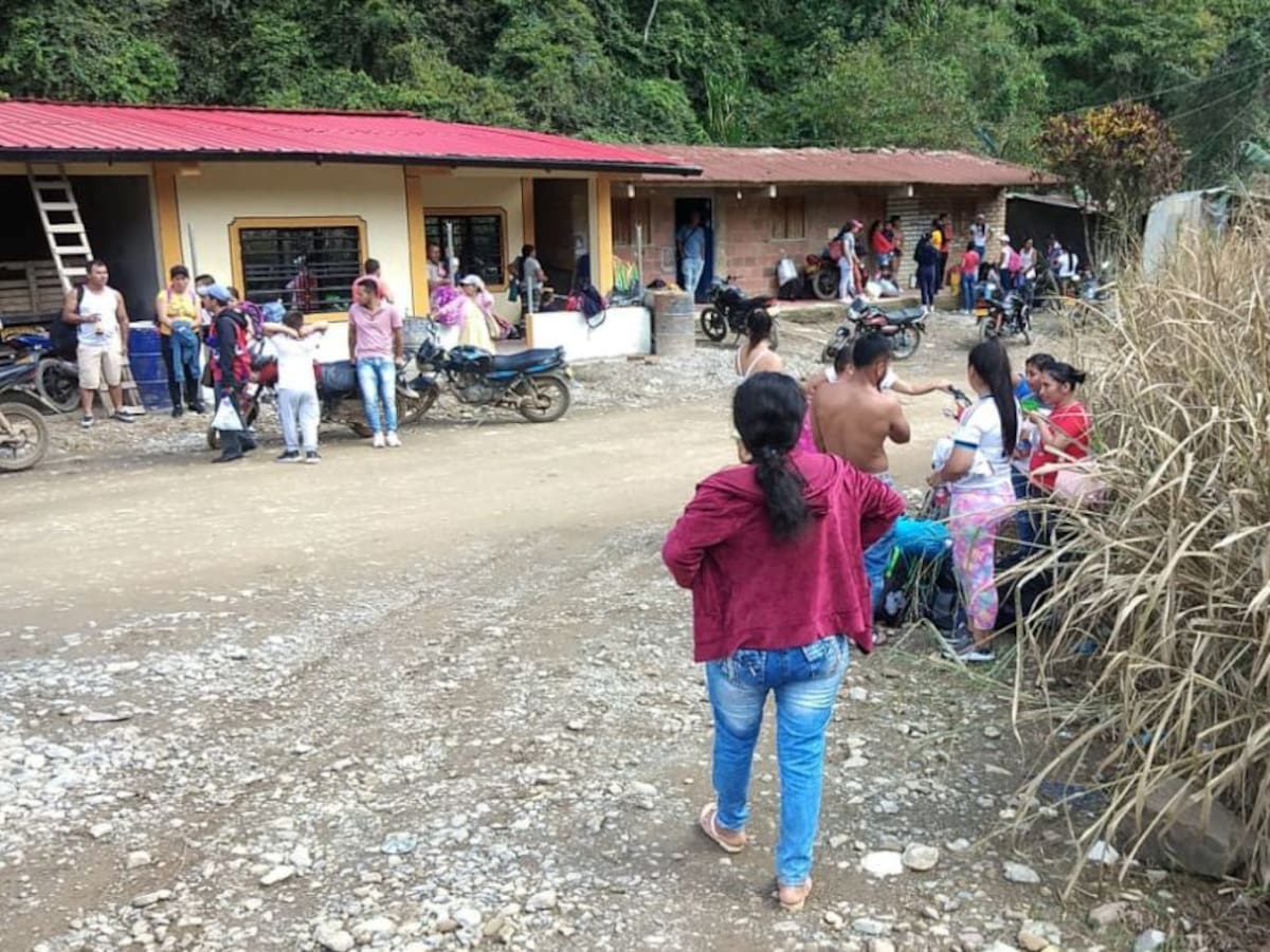 Enfrentamientos generan nueva crisis humanitaria en Argelia, Cauca