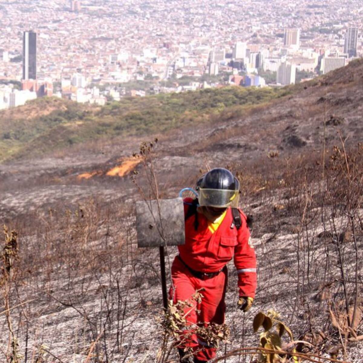 Balance de los incendios forestales en el Valle, en lo corrido el año