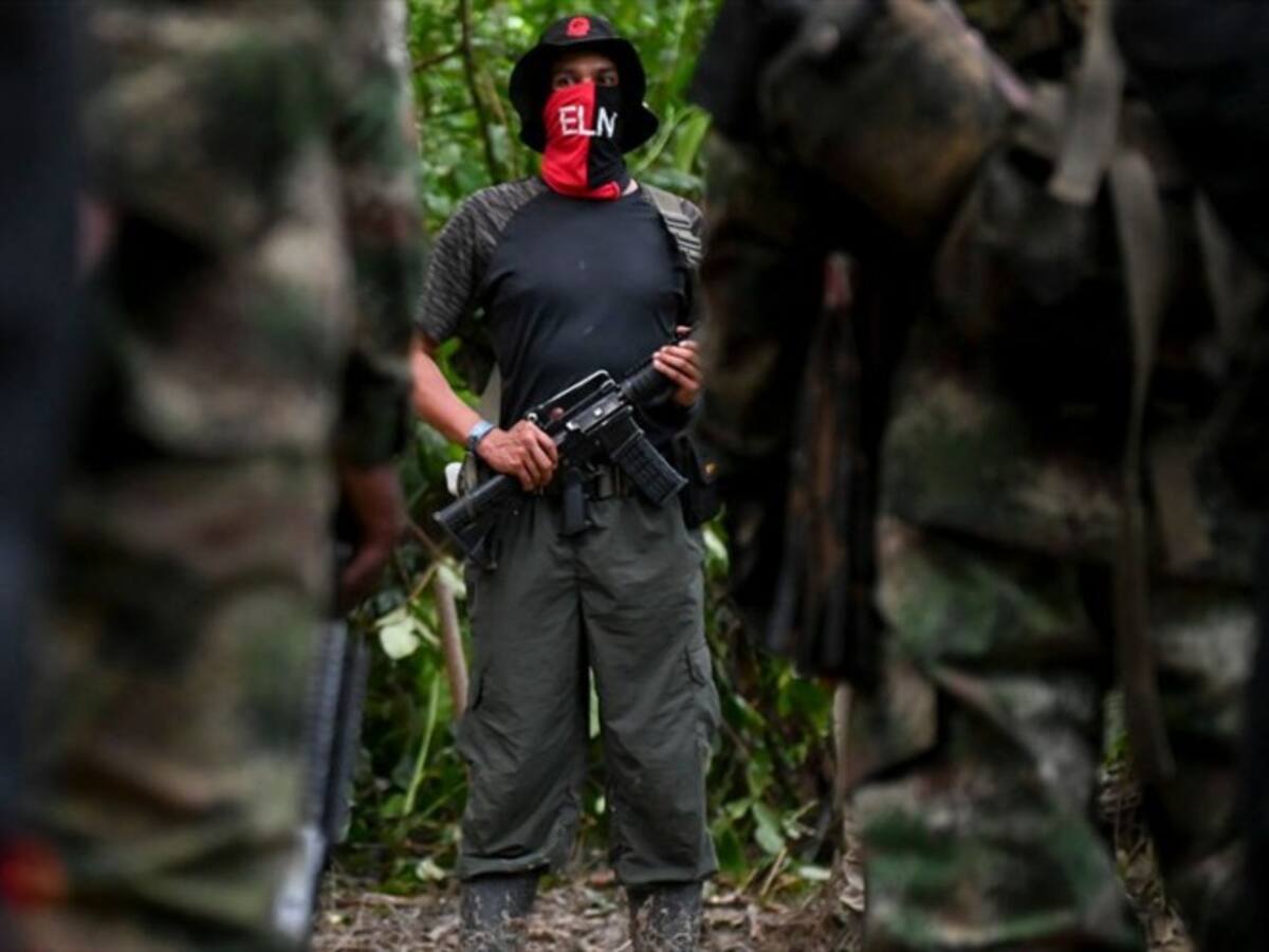 El país espera más que un anuncio de cese al fuego por un mes: Ceballos sobre el ELN