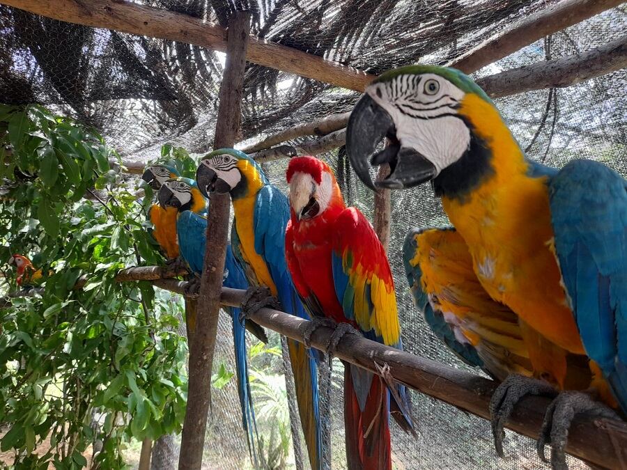 Alcaldía de Cartagena