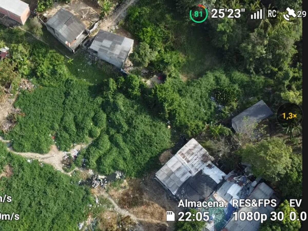 20 presuntos jíbaros han sido capturados con drones y caninos antinarcóticos en Cartagena