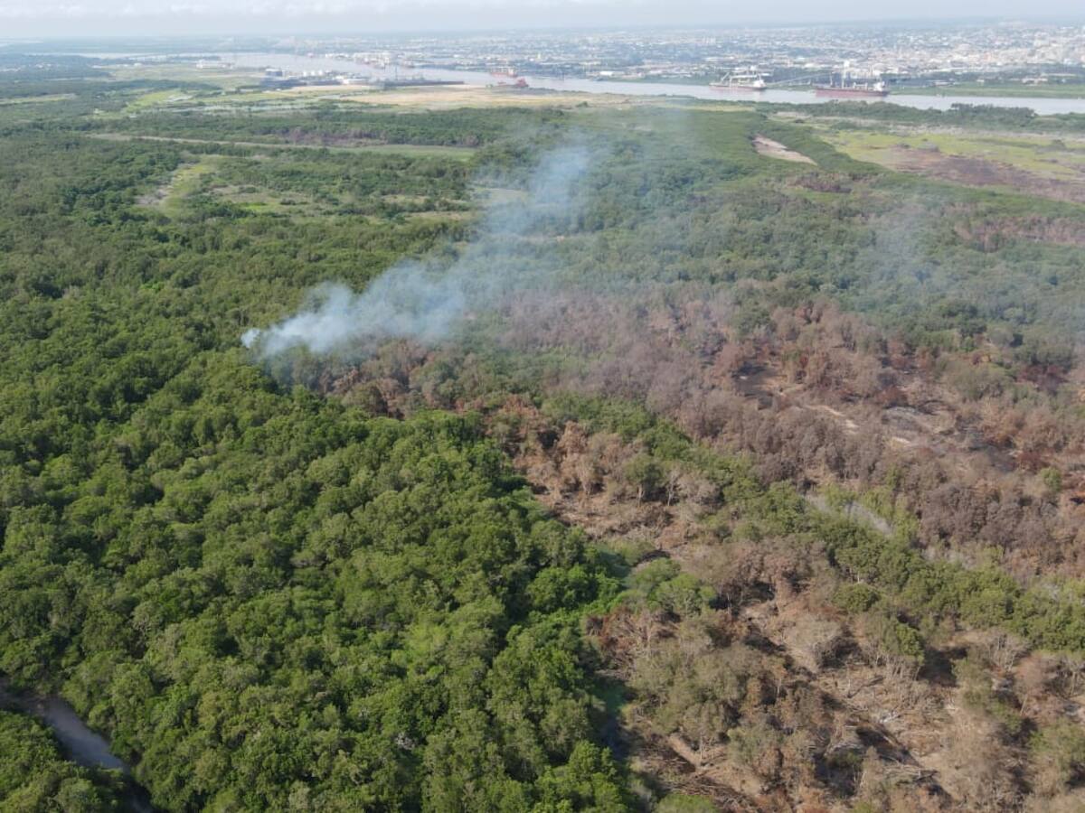 Dirección de Parques Nacionales en el Caribe busca frenar incendios en el Isla Salamanca