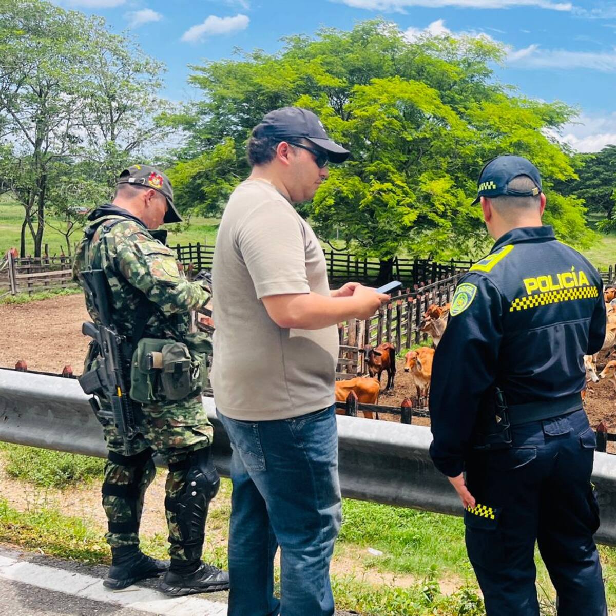 Patrullajes entre Policía y Ejército permitieron recuperación de equino en Mompox, Bolívar