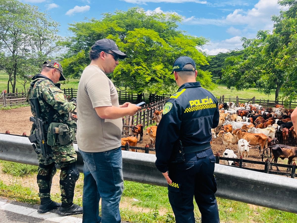 Patrullajes entre Policía y Ejército permitieron recuperación de equino en Mompox, Bolívar