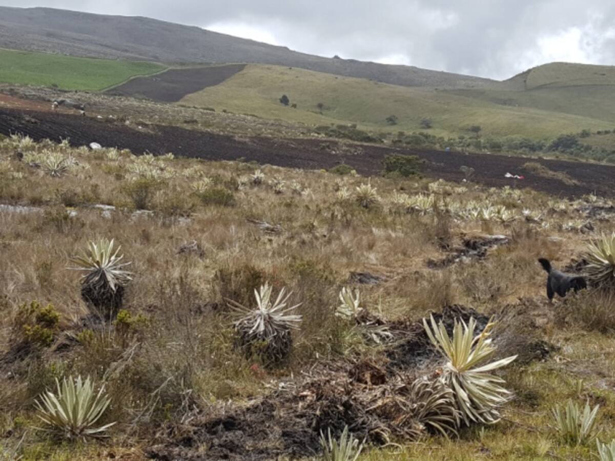 Detectan más de 96000 datos biológicos en los 37 municipios libres de minas