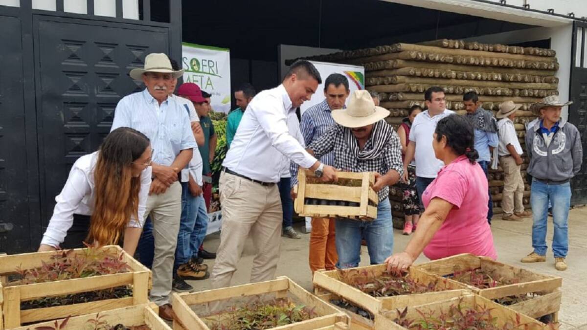 Acuerdo para cultivar fríjol y proteger el bosque en San Juanito, Meta