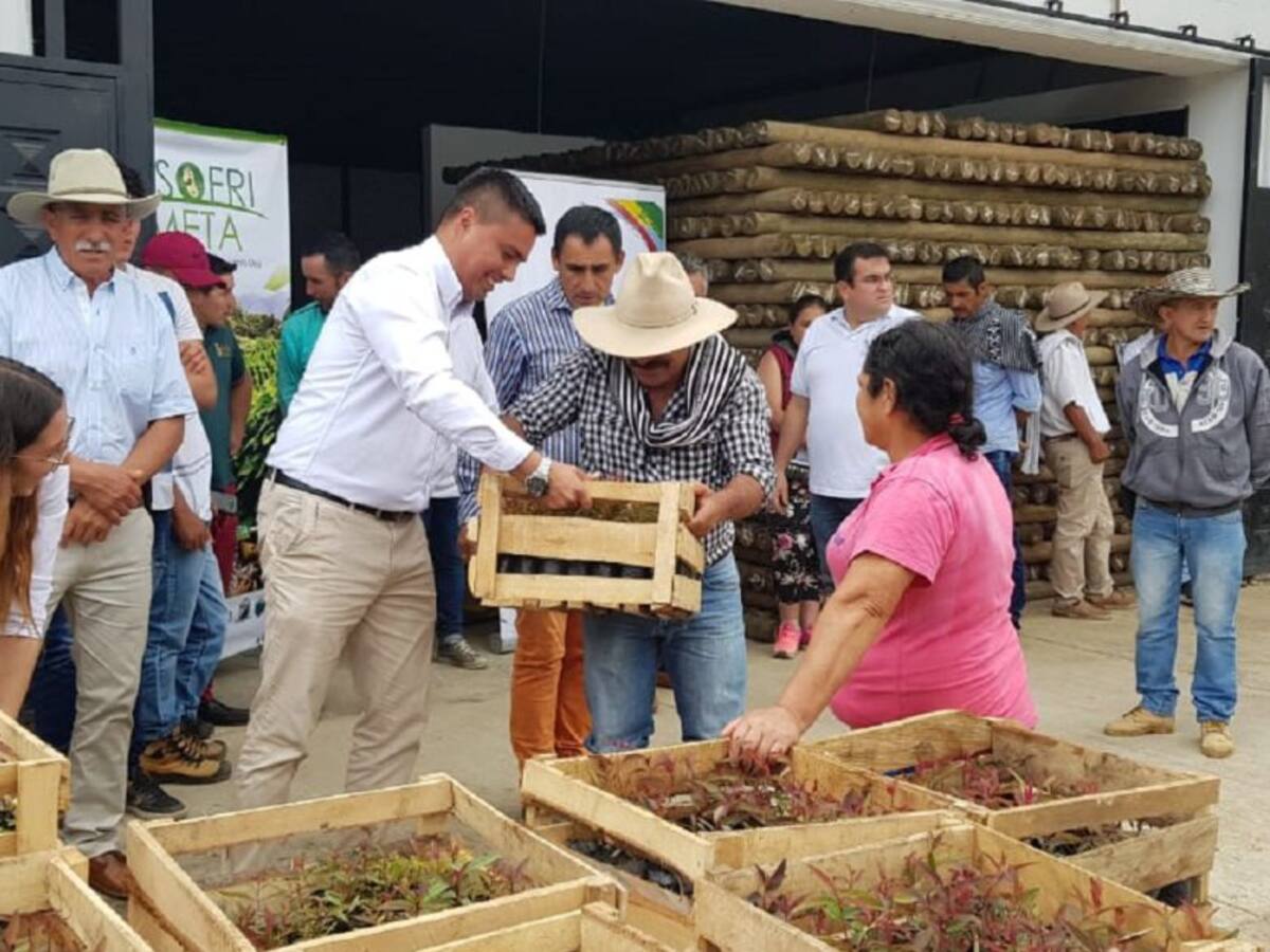 Acuerdo para cultivar fríjol y proteger el bosque en San Juanito, Meta
