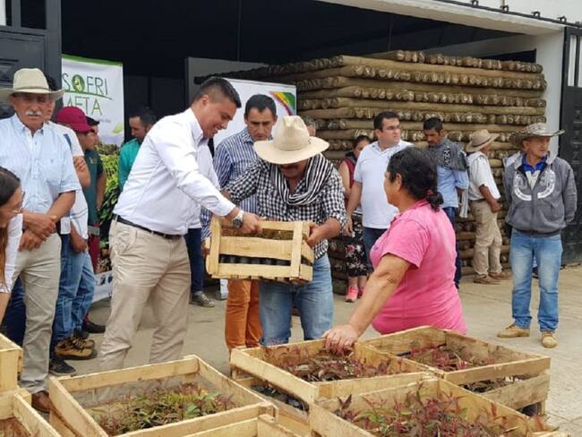 Acuerdo para cultivar fríjol y proteger el bosque en San Juanito, Meta