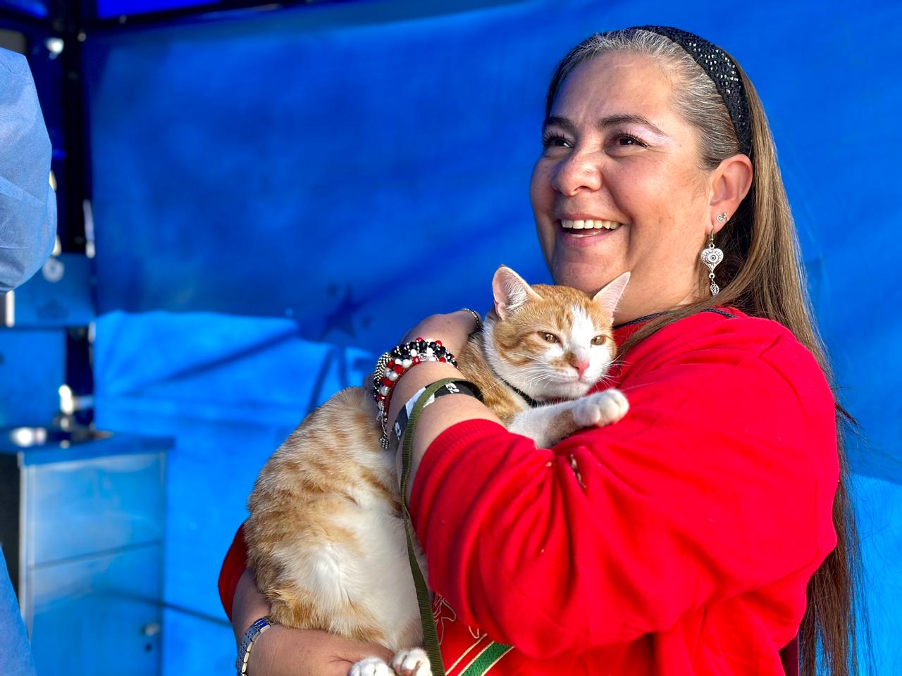 Jornada de vacunación antirrábica gratuita en Bogotá: ¿cuándo es y en qué punto de la ciudad?