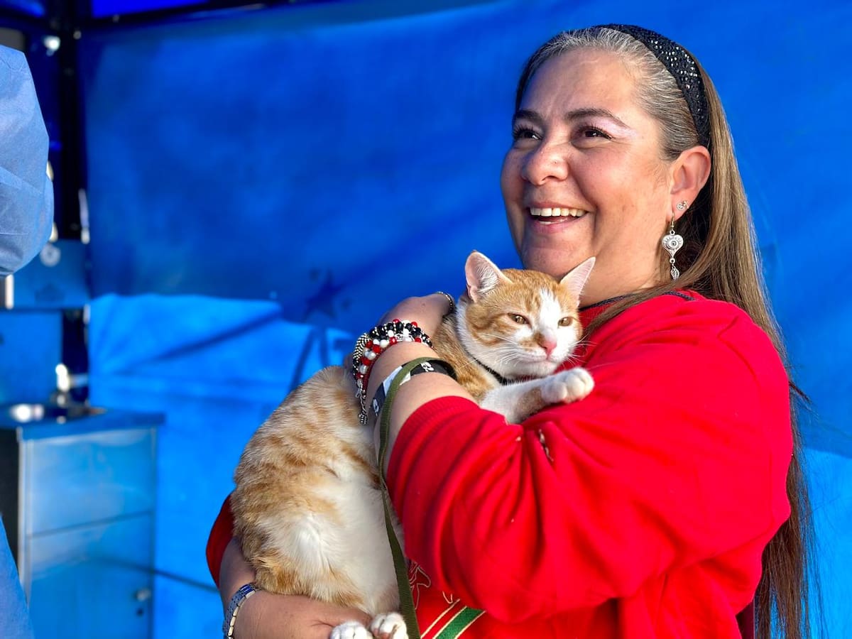 Jornada de vacunación antirrábica gratuita en Bogotá: ¿cuándo es y en qué punto de la ciudad?