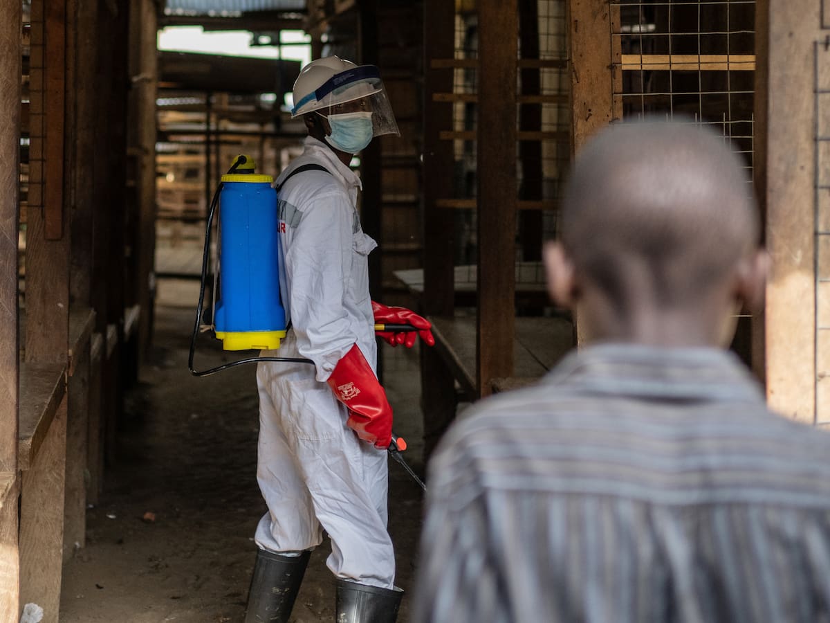 10 países de África son declarados en alto riesgo por epidemia de ébola