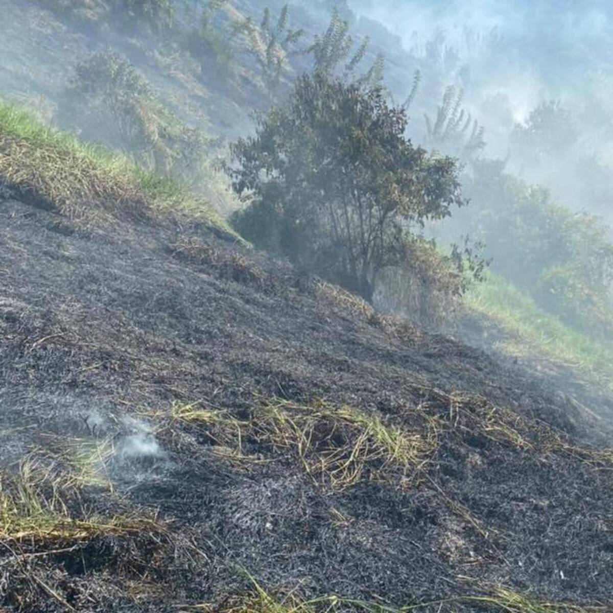 Incendio forestal afectó más de tres hectáreas de tierra en Aránzazu, Caldas