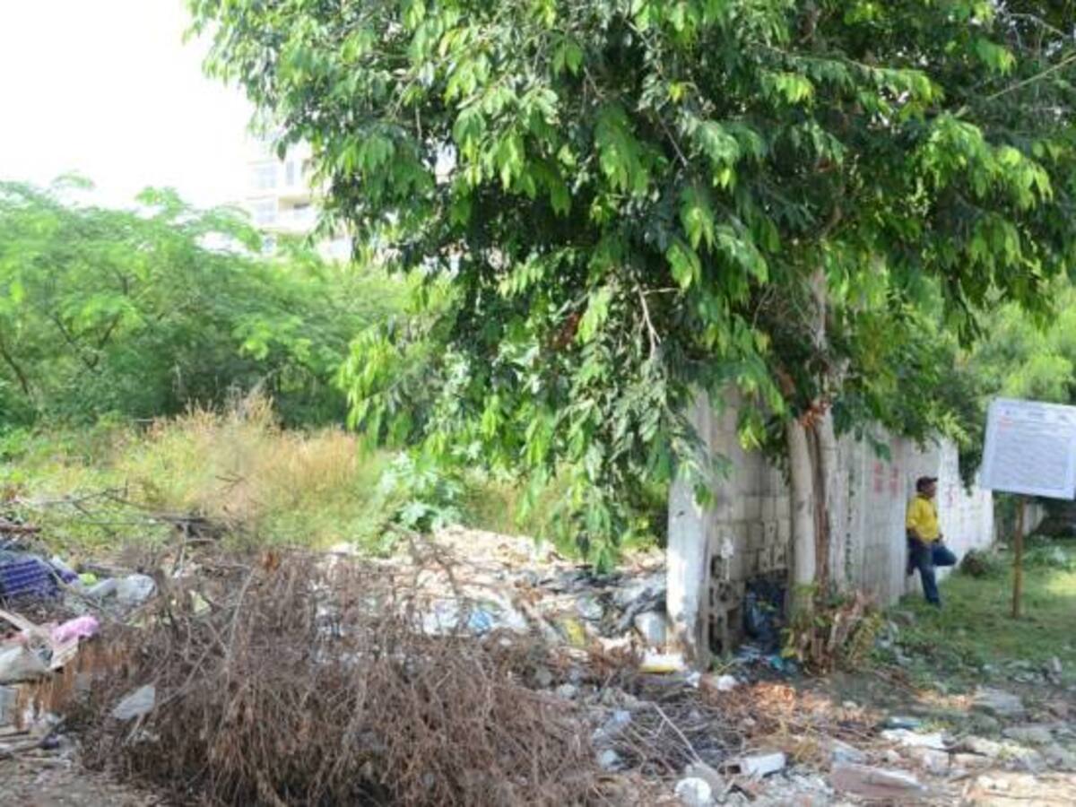 Anuncian medidas contra propietarios de 100 lotes abandonados