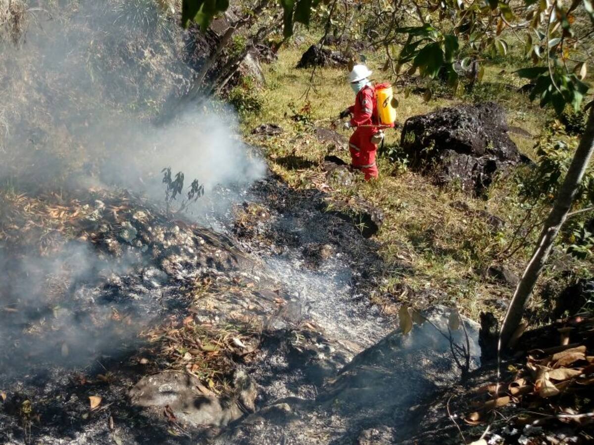 104 incendios dejan más de 1000 hectáreas de vegetación en el Huila