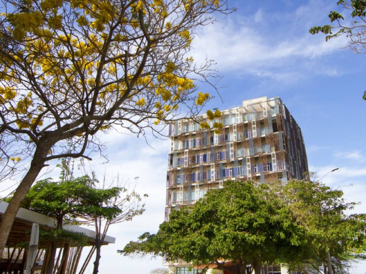 Feria Virtual de Posgrados UNINORTE, una oportunidad para crecer