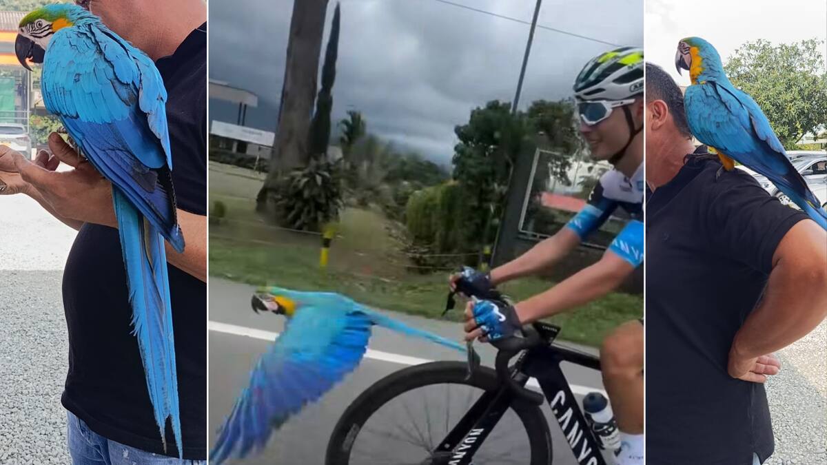 Integrante de la Fundación Eco Huellas, Rodrigo Rico