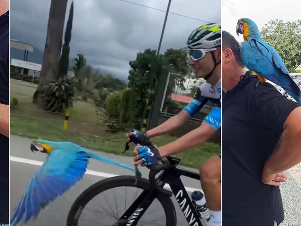 “Lupita” se encuentra en buen estado tras la alerta por presunto robo y maltrato en el Quindío