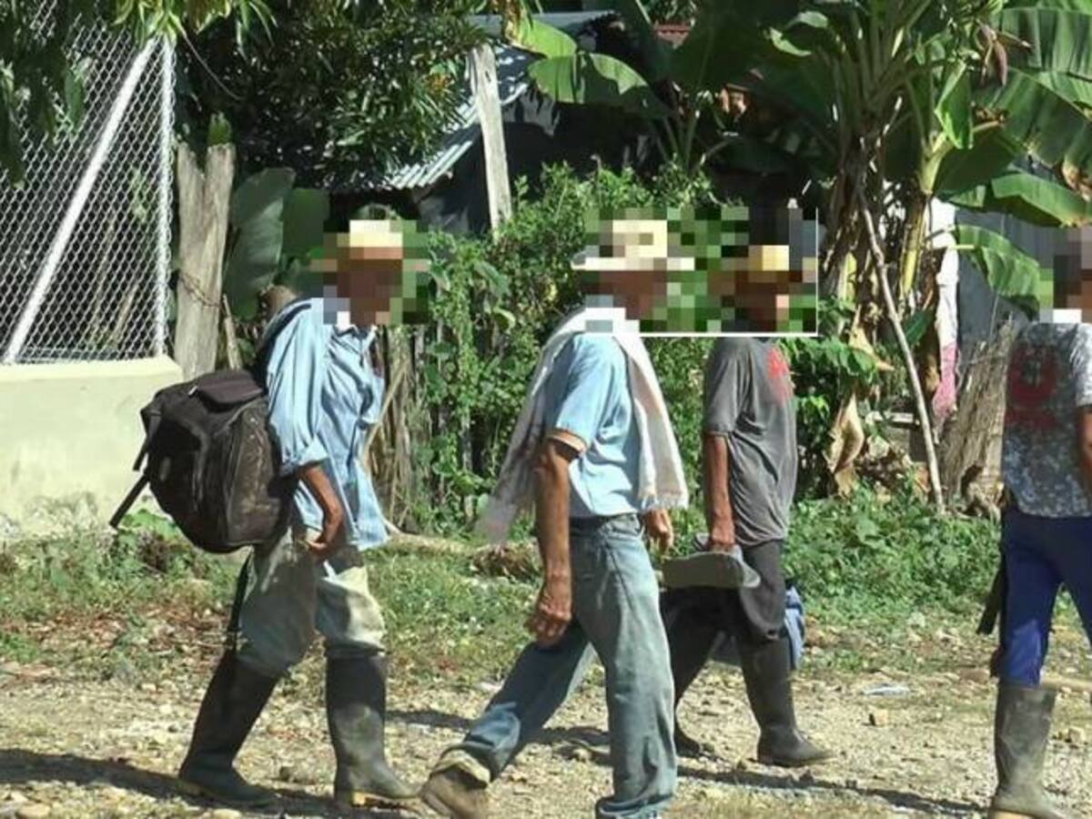 Denuncian desplazamiento forzado de campesinos en Tarazá