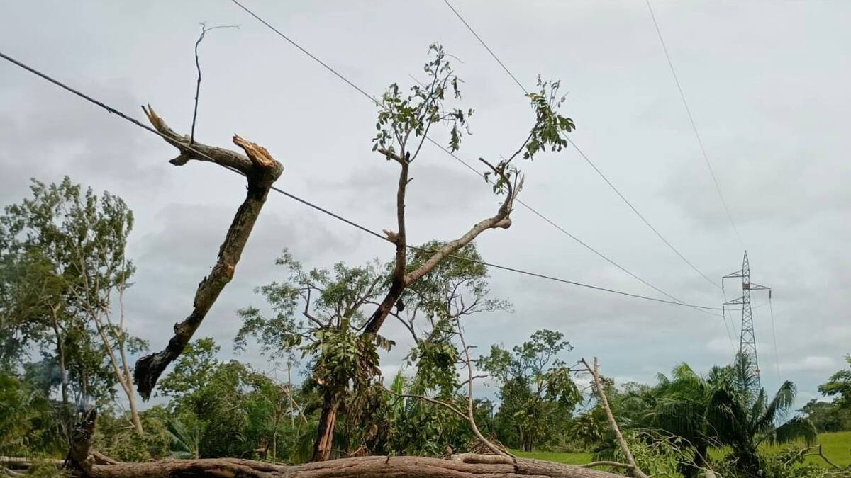 Lluvias en Córdoba dejan cortes de energía en varios municipios por caída de árboles
