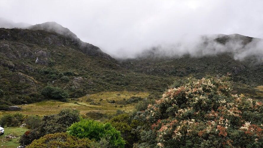 Tribunal Administrativo de Santander niega prórroga para nueva delimitación de Santurbán. Foto: Colprensa