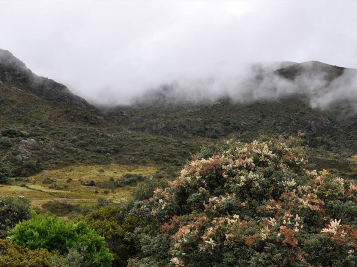 Tribunal Administrativo de Santander niega prórroga para nueva delimitación de Santurbán