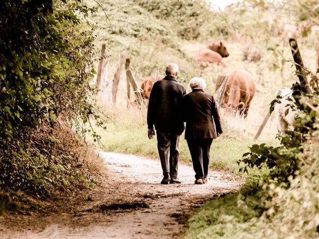 Hábitos saludables para el adulto mayor en confinamiento