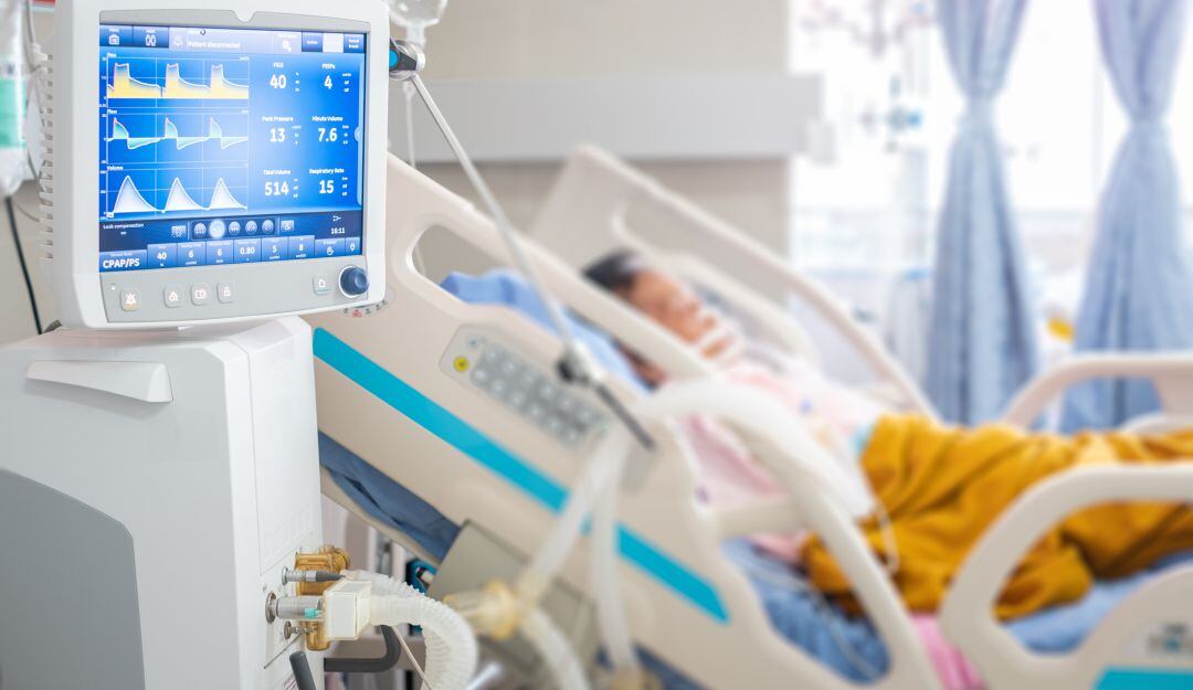 Imagen de referencia