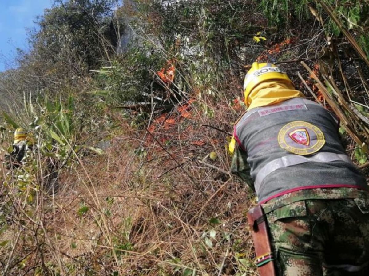 Incendio forestal en Boyacá se ha controlado en un 90%