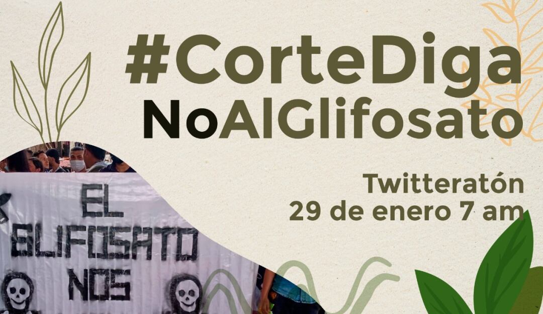 Organizaciones campesinas del Catatumbo 