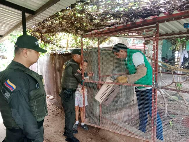 La comunidad jugó un papel clave al reportar casos sospechosos. Foto policía Neiva.