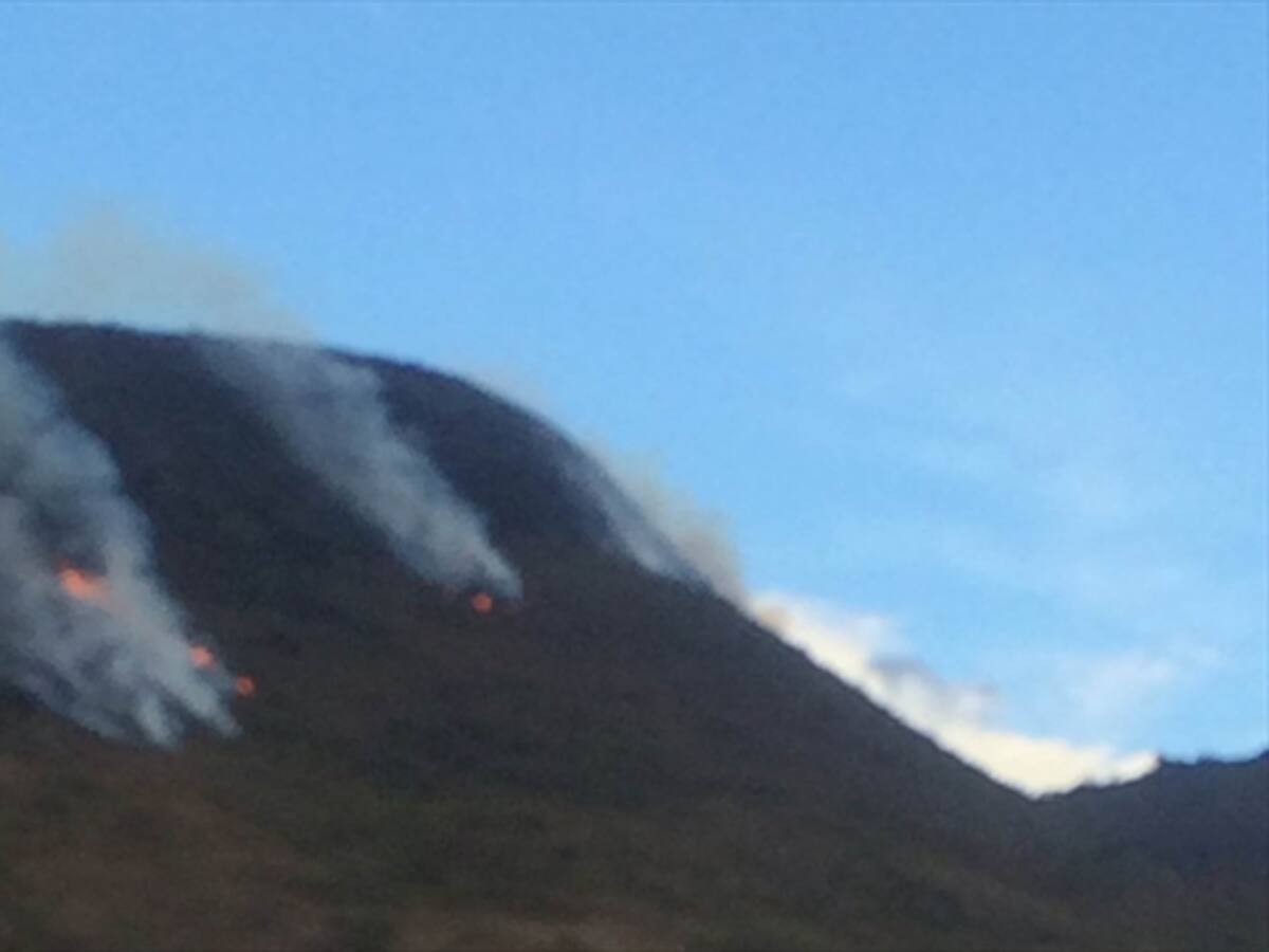 Se reactivó el incendio forestal en Necoclí, Antioquia