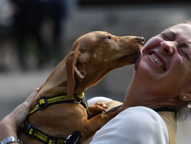 Según encuesta, personas prefieren besar más una mascota que a su pareja