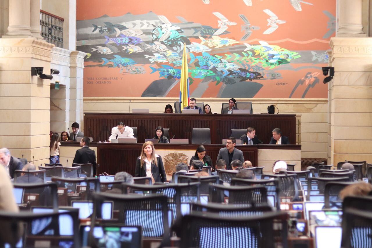 Debate de la reforma a la salud en el Congreso. (Cortesía - Oficina de prensa de la Cámara de Representantes)