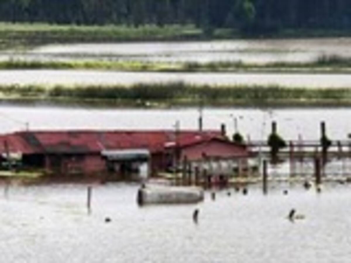 Creciente del río Bogotá inundó a Villapinzón y amenaza a varios municipios de Cundinamarca: Sergio Piñeros, de la CAR