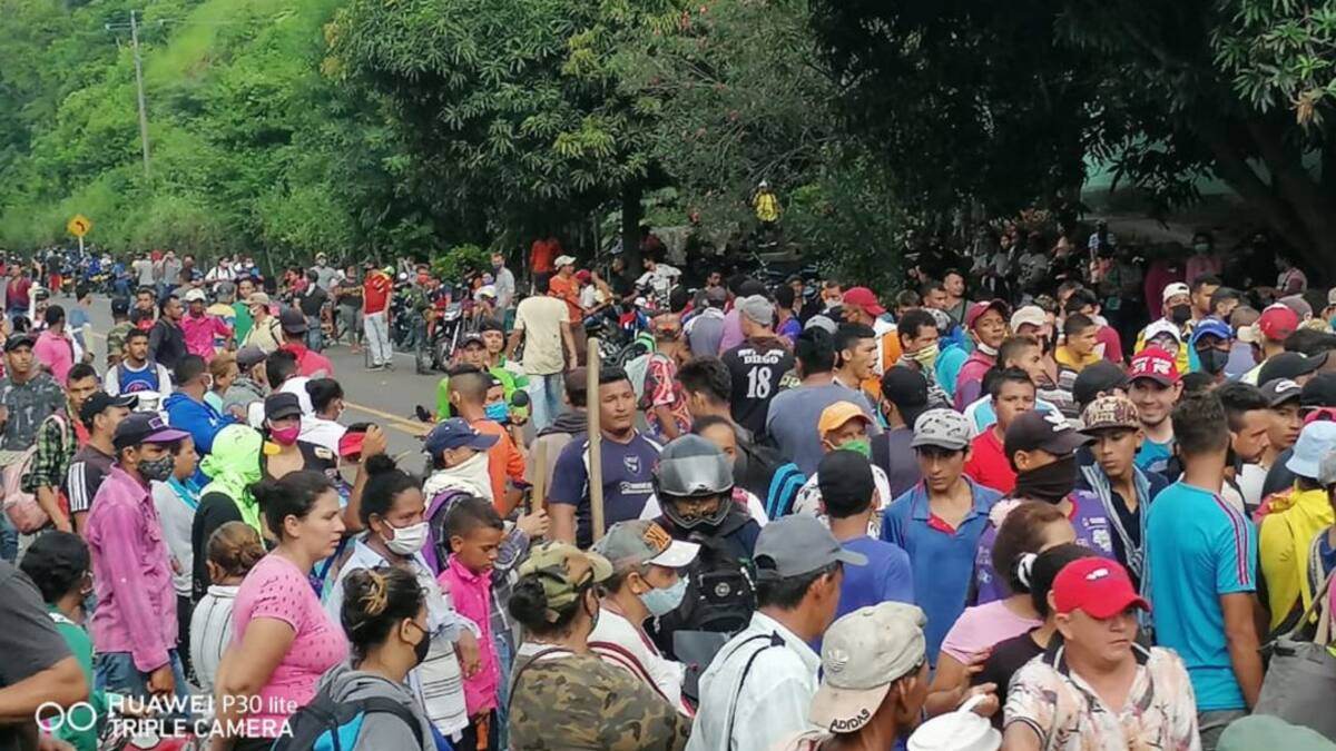 Campesinos ocupan territorios en la Sierra Nevada exponiéndose al COVID-19