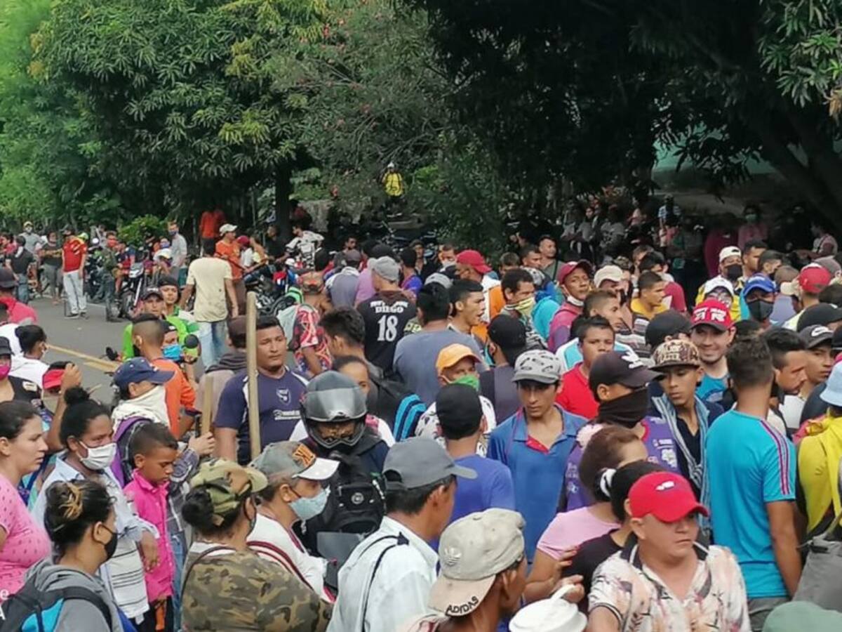 Campesinos ocupan territorios en la Sierra Nevada exponiéndose al COVID-19