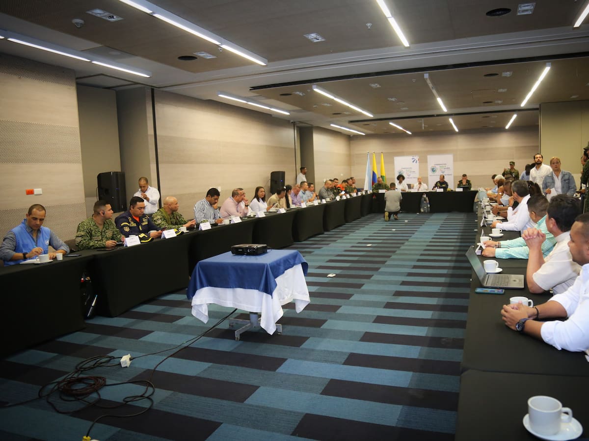 ¿Cuáles fueron las conclusiones del consejo de seguridad en Buenaventura?