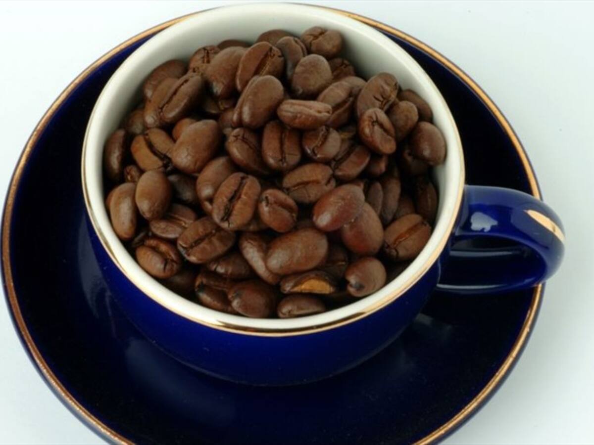 Masticar granos de café podría sustituir el consumo de alcohol en las personas